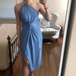 NWT Michelle Mason Shimmer Dress